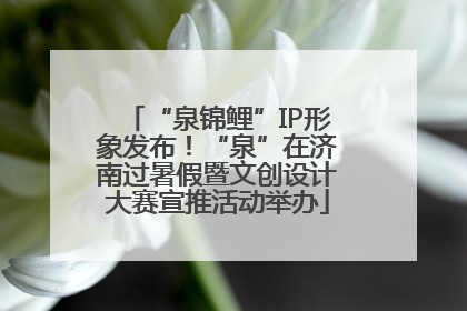 “泉锦鲤”IP形象发布！“泉”在济南过暑假暨文创设计大赛宣推活动举办